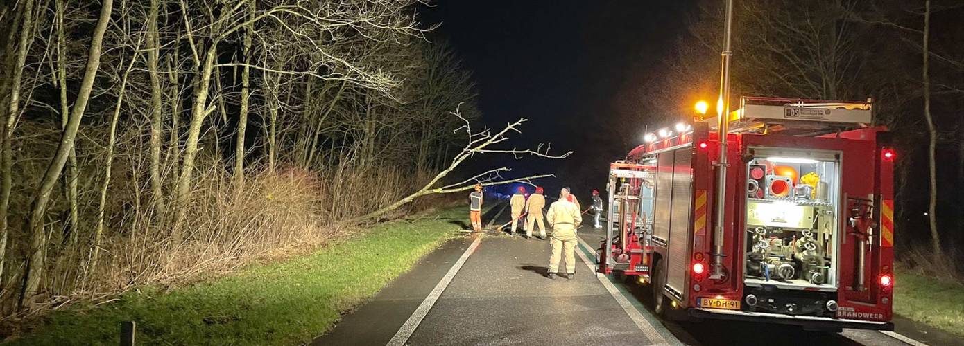 N46 tijdelijk afgesloten vanwege omgewaaide boom