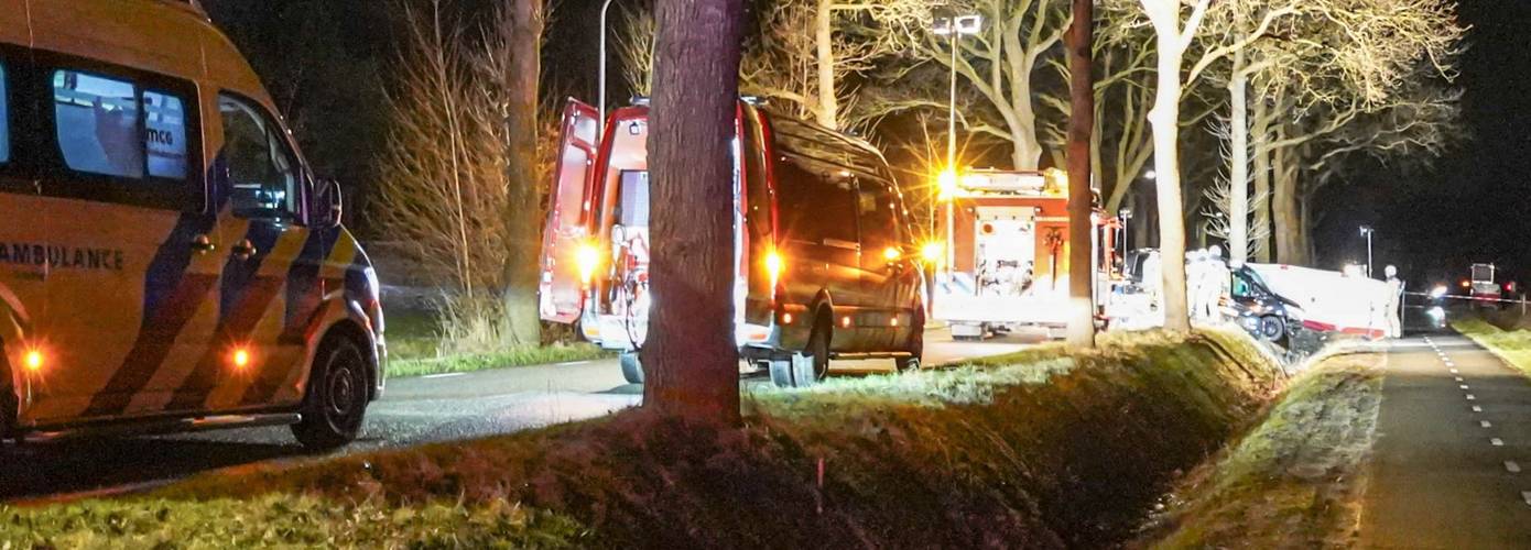 Auto botst tegen boom: een persoon raakt gewond