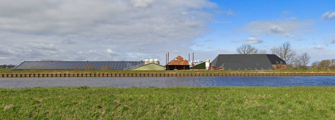 53.000 kippen geruimd na vogelgriep uitbraak pluimveebedrijf Woltersum 