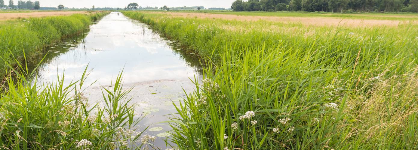 Provincie en waterschappen starten verkenning voor toekomst veenweidegebieden