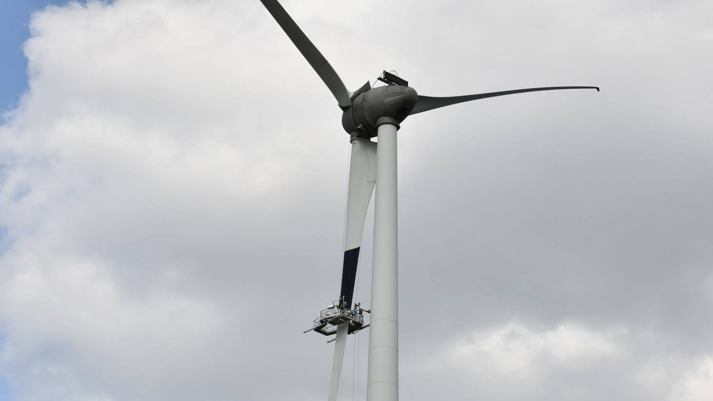 Landelijk proef om vogelsterfte terug te dringen in Eemshaven; zwart schilderen wiek windmolen