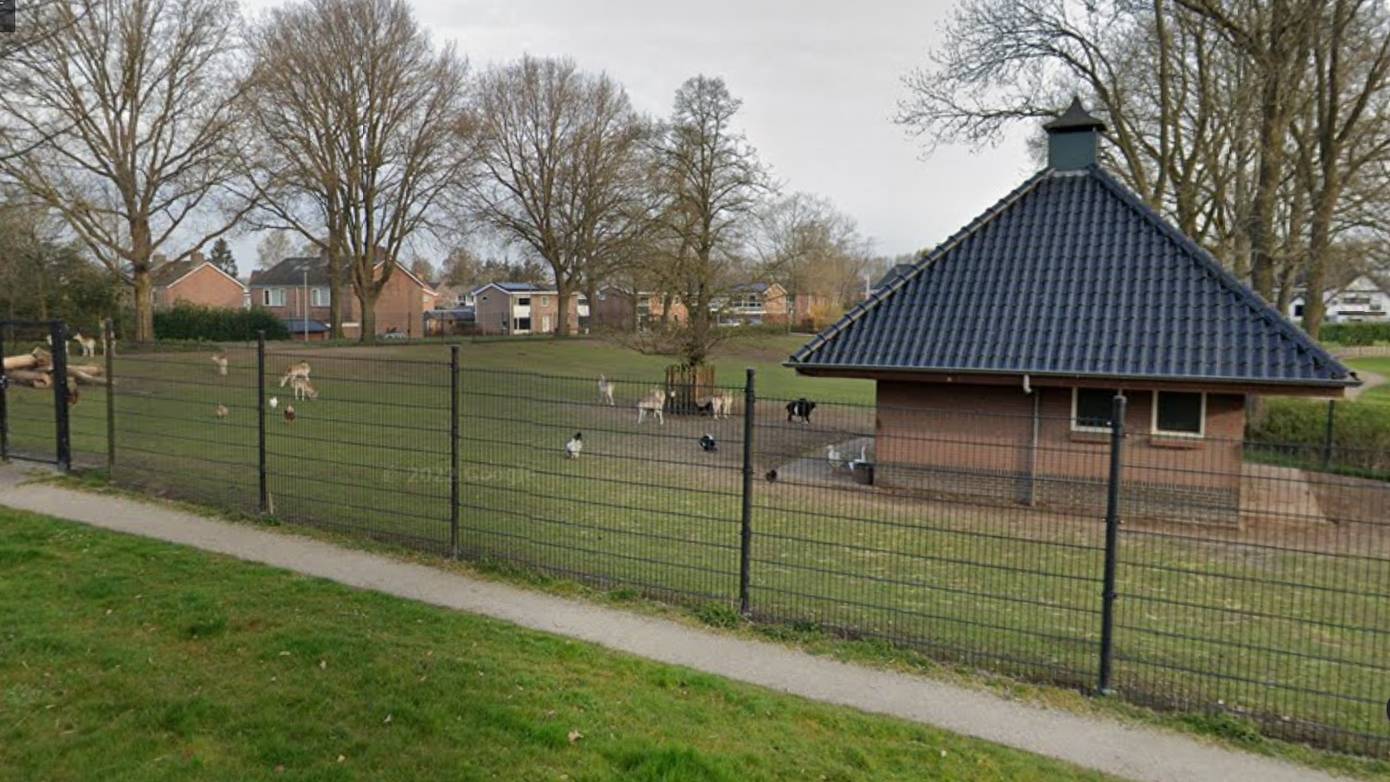 Vogelgriep bij vogels hertenkamp Zuidbroek