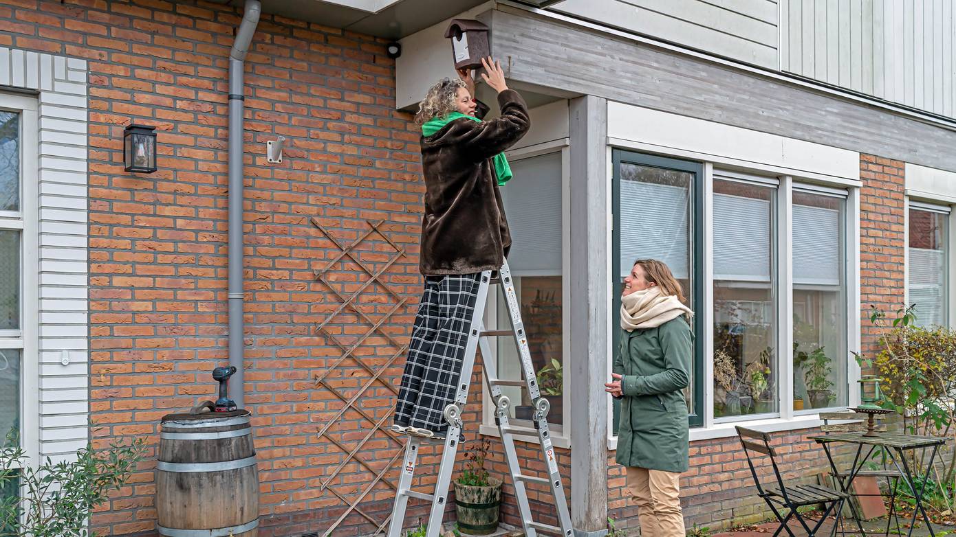 Gemeente Groningen geeft inwoners kortingsactie voor meer biodiversiteit