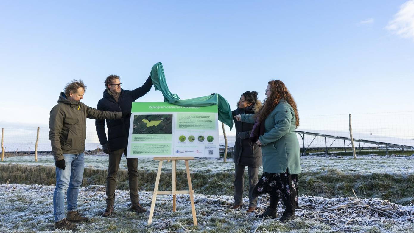 Start vijfjarig onderzoek naar ecologische effecten zonneparken