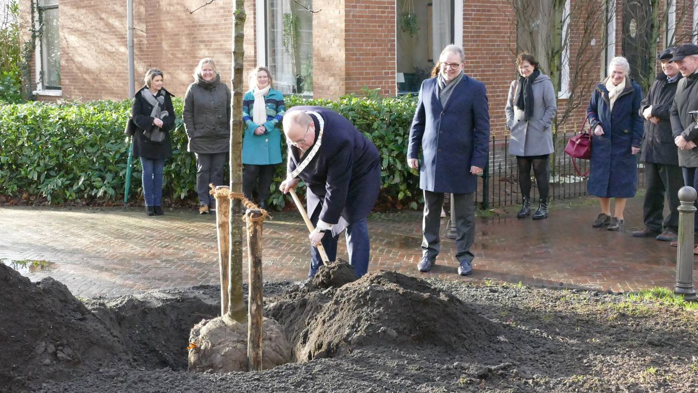 Burgemeester Ben Visser plant eerste burgemeestersboom in Eemsdelta