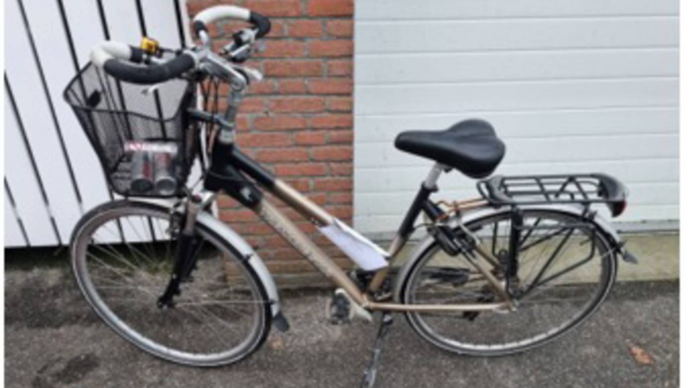 gestolen fietsen 2