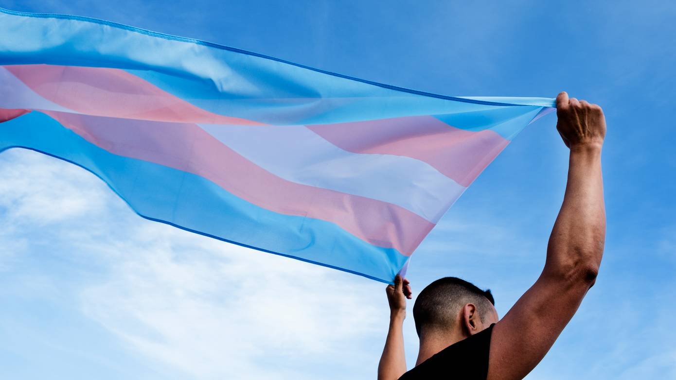 Groningen hijst vandaag de transgendervlag