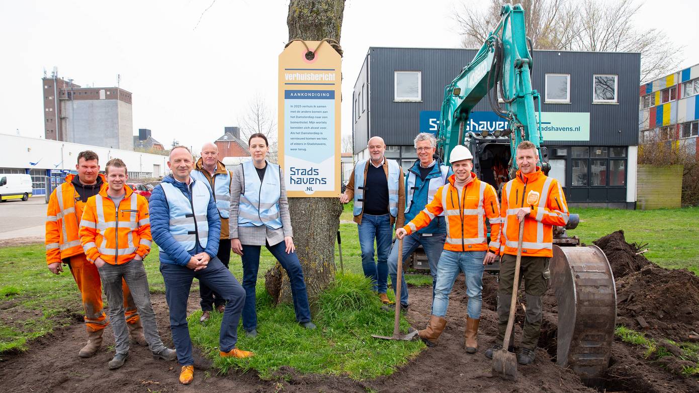 Ruim 40 bomen langs het Damsterdiep verhuizen naar bomenhotel