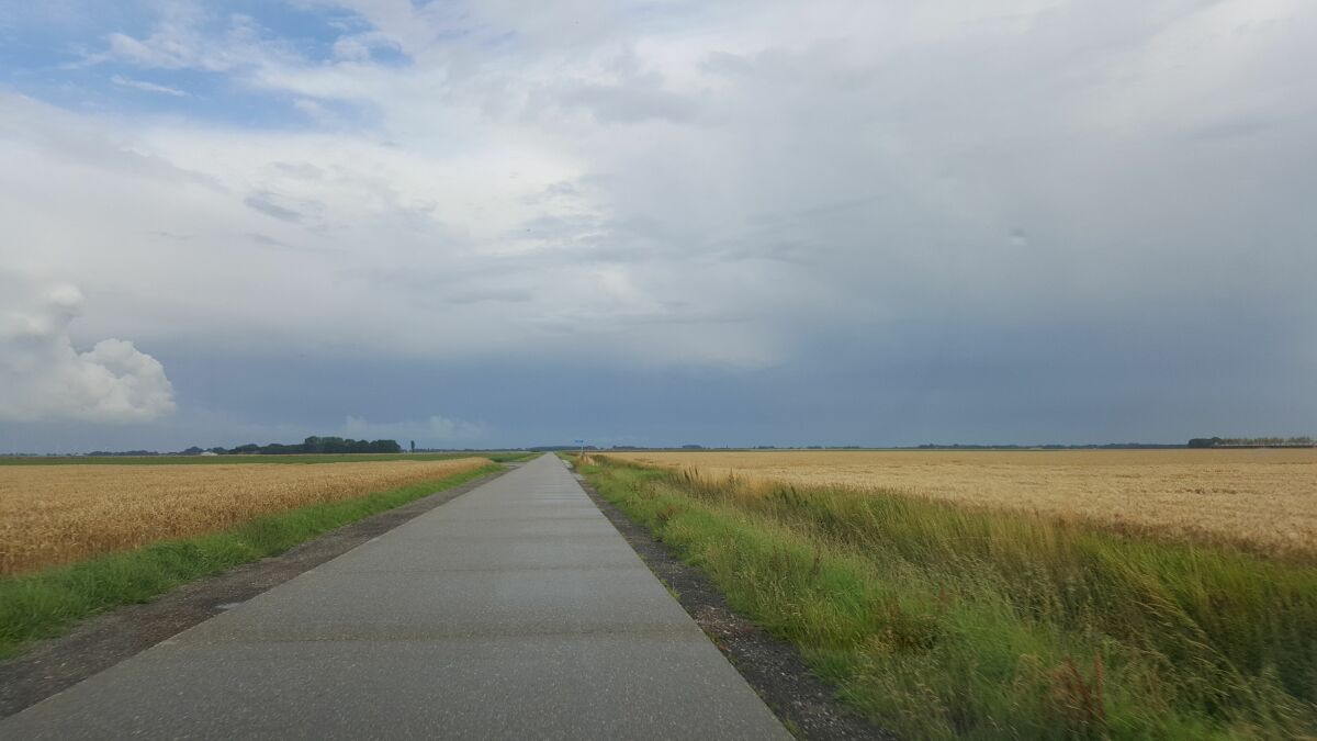 Gemeenten Eemsdelta en Oldambt gaan Carel Coenraadpolder herstellen