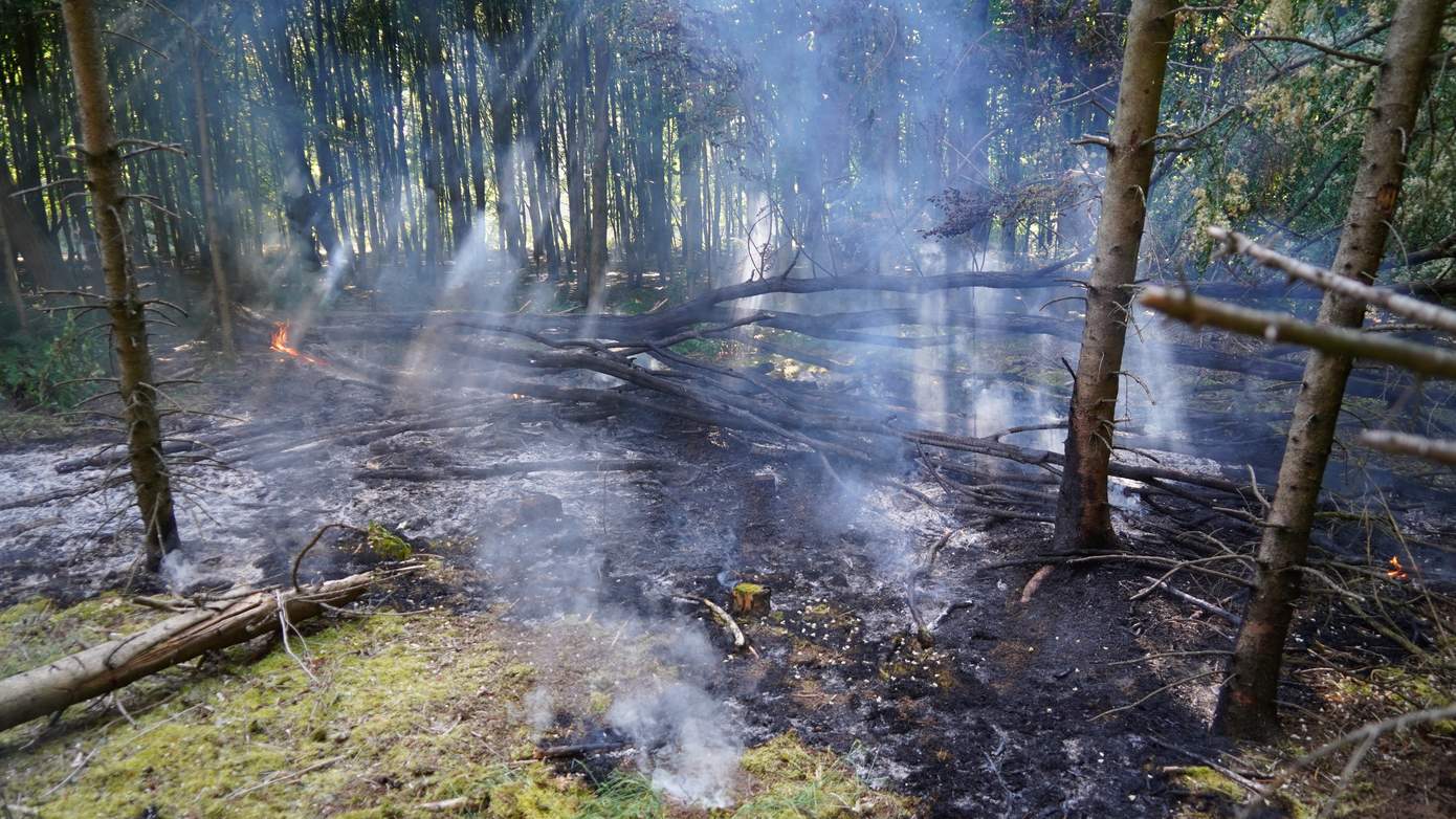 Zeer grote bosbrand houd brandweer uit Groningen en Drenthe hele middag en avond bezig (video)