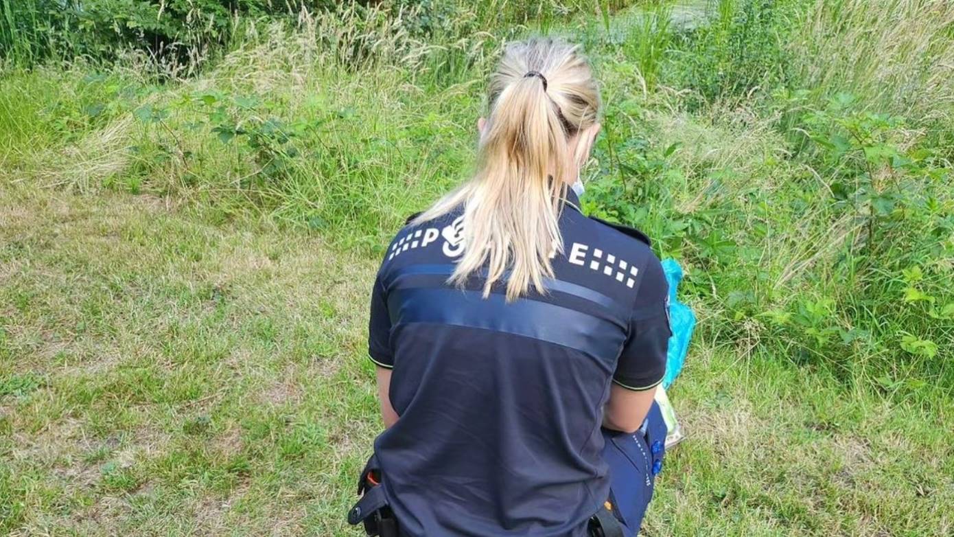 Politie treft twee dode hondjes aan