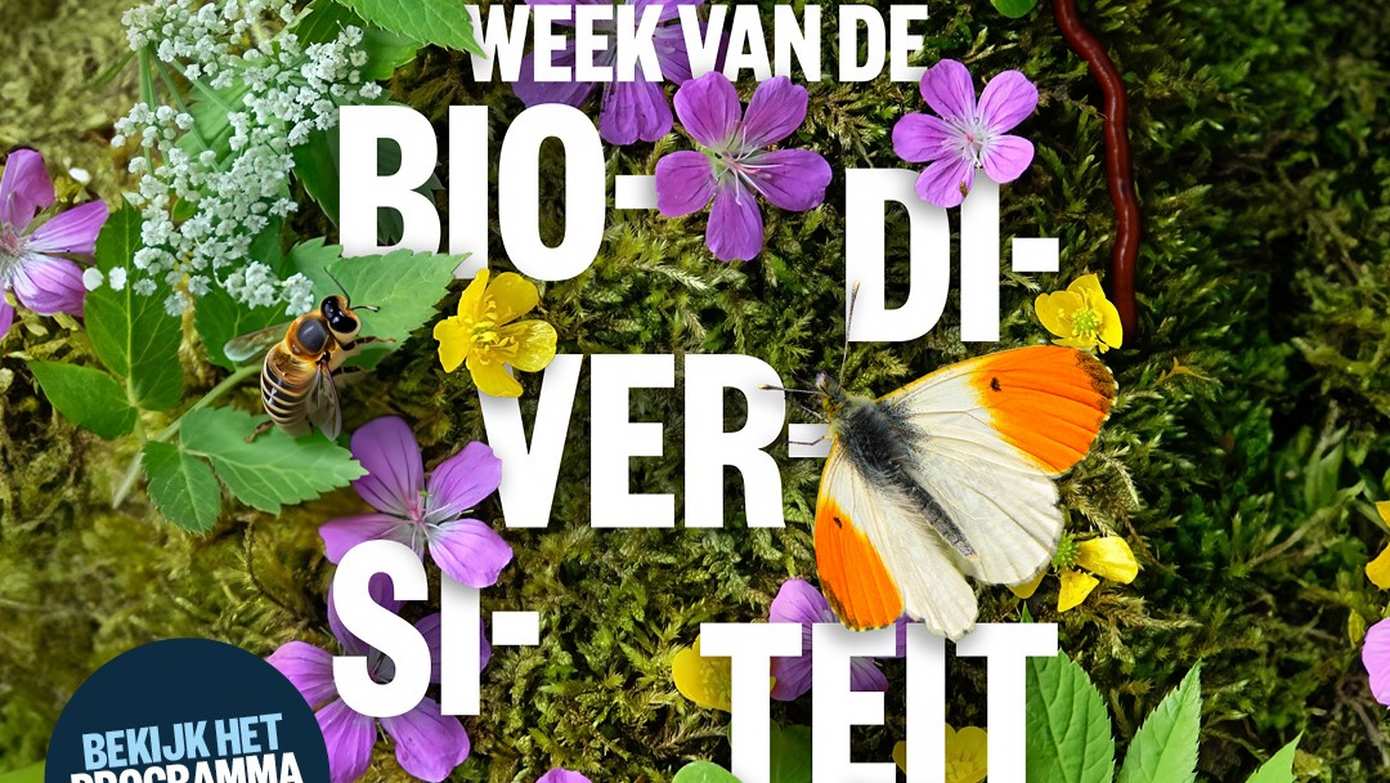 Tientallen activiteiten tijdens Week van de Biodiversiteit 