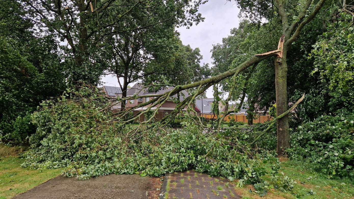 KNMI geeft code geel voor woensdagavond vanwege (zeer) zware windstoten