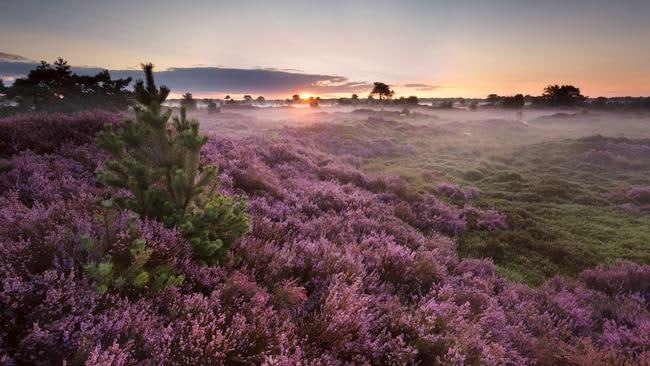 Gemeente Westerkwartier zoekt landschapsverhalen