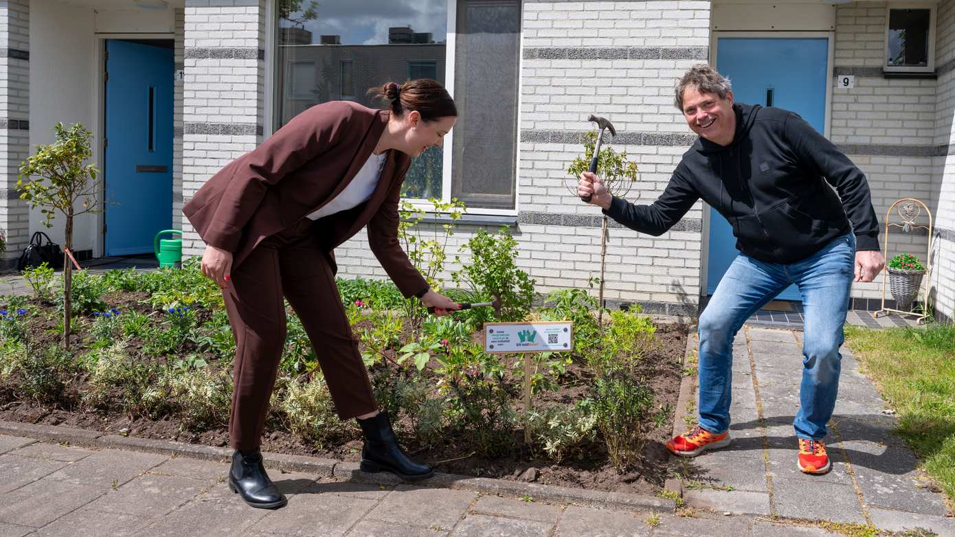 Groningse woningcorporaties vergroenen  75 versteende voortuinen