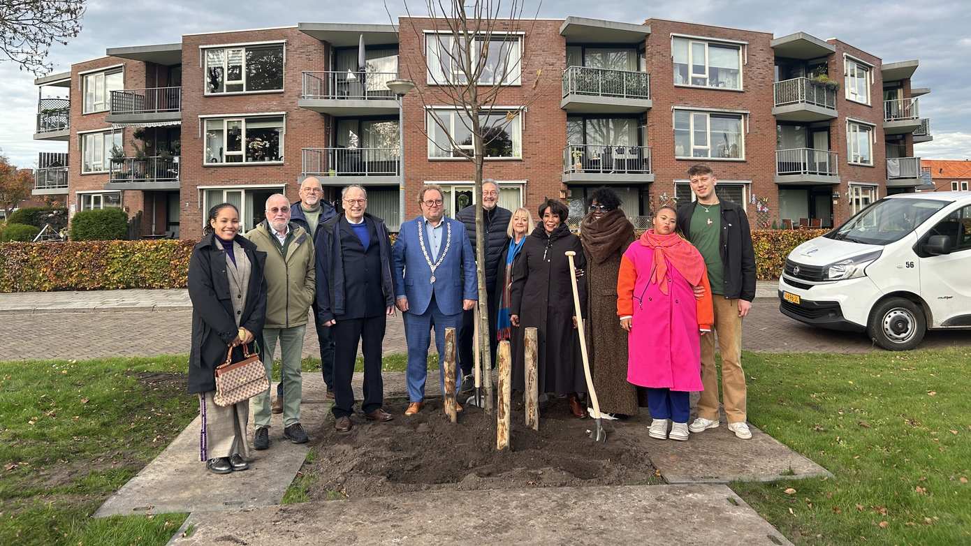 Een koningslinde ter ere van het werk van huisarts Feis