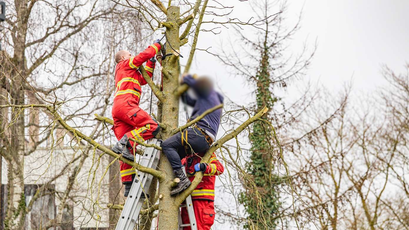 Man raakt gewond in boom tijdens snoeiwerkzaamheden