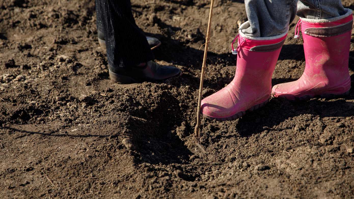 Kinderen planten Tiny Forest in Loppersum