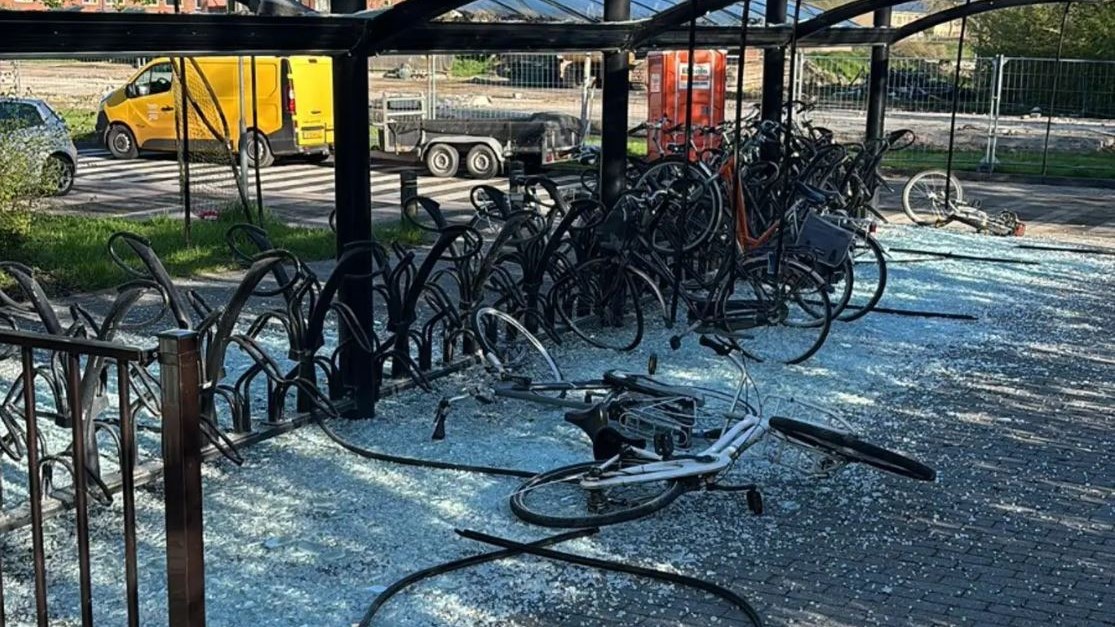 Vandalen slaan voor 100.000 euro station Delfzijl kort en klein