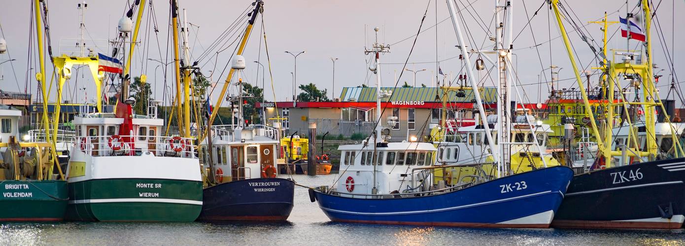 Garnalenvissers blokkeerden haveningang Lauwersoog (video)