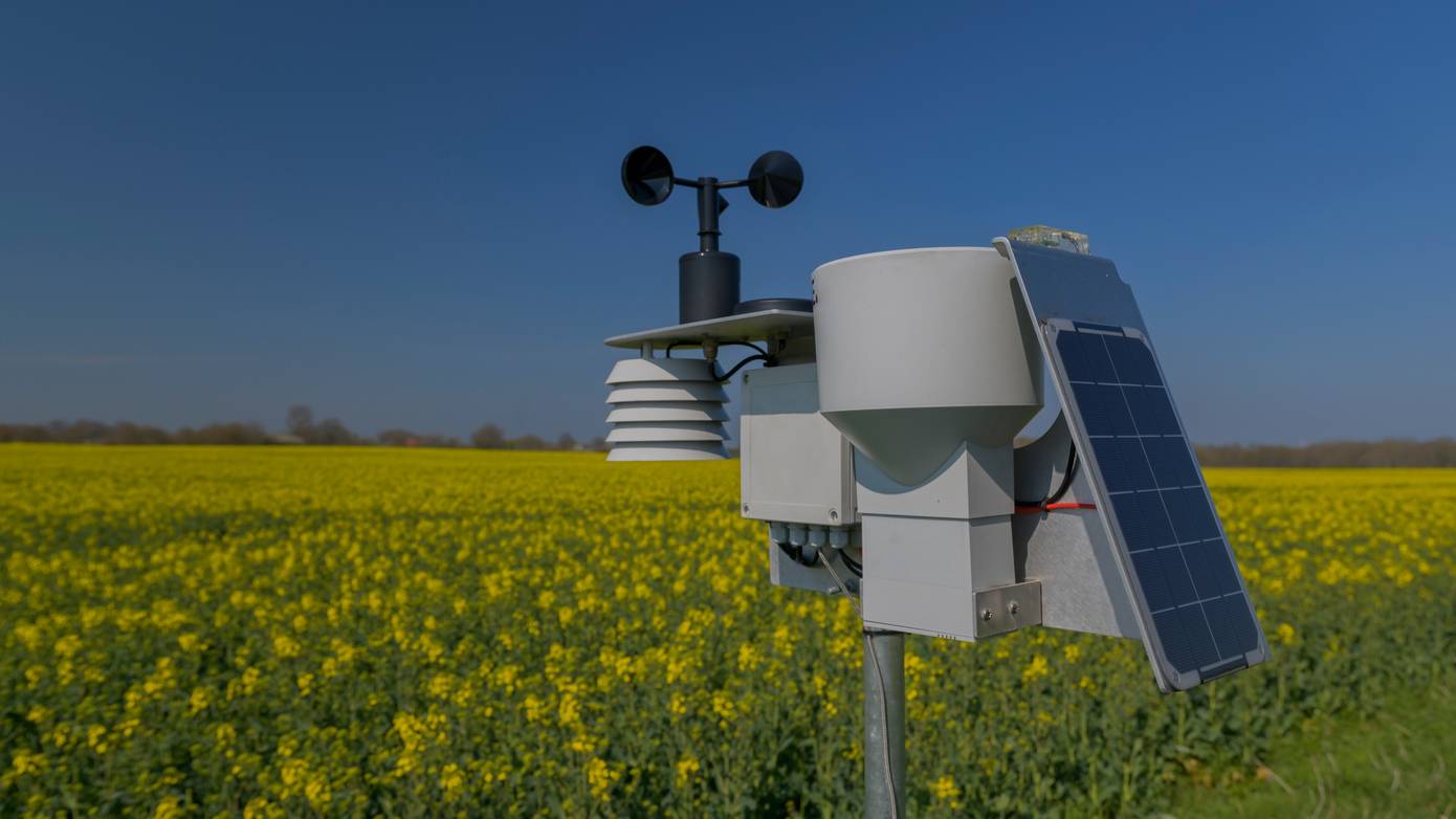 'Van 10 tot 30 graden; het weer tijdens Pinksteren kan van jaar tot jaar flink variëren' 