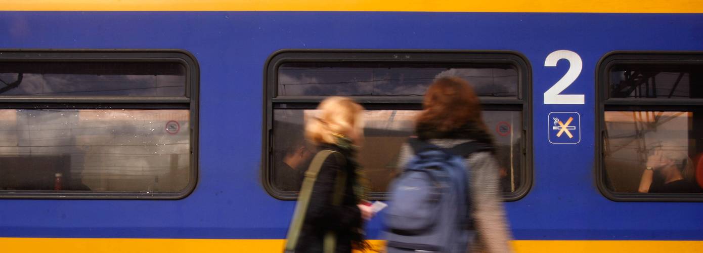 Geen treinen tussen Groningen en Assen door boom op bovenleiding