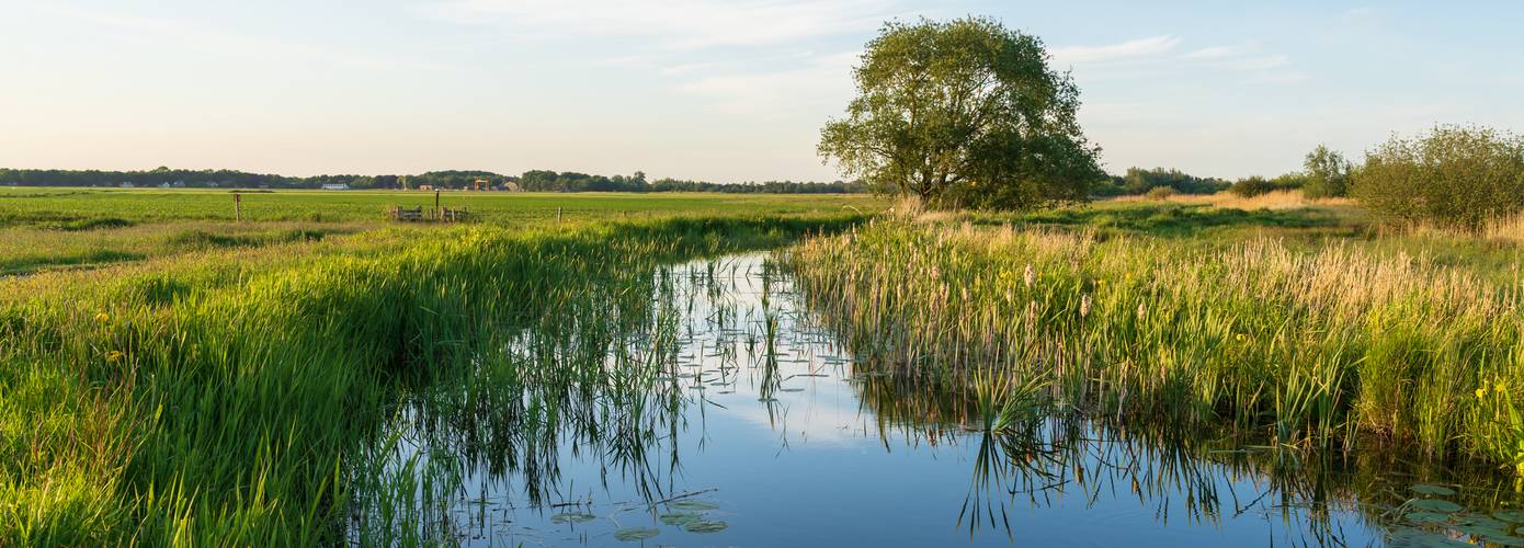 Pekela op weg naar een nieuwe Groen- en Watervisie