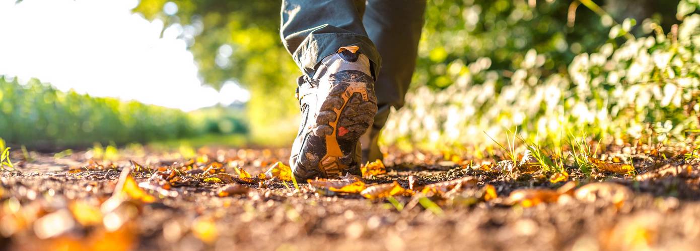 'Astronomische herfst start met droge vrijdag en lokaal 20 graden'