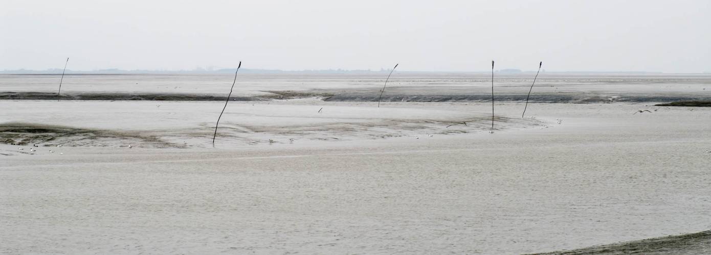 Zeespiegel Nederlandse kust stijgt 1,5 keer zo snel door klimaatveranderingen