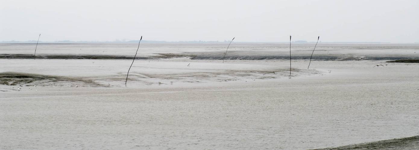 Natuur Eems-Dollard kan veel beter